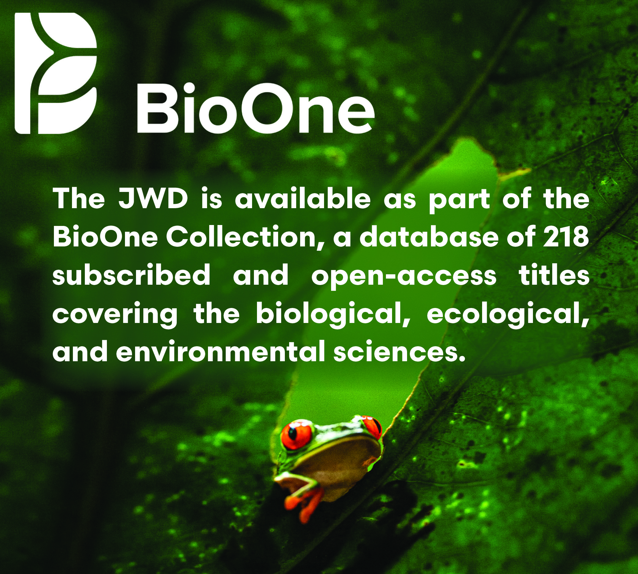 BioOne